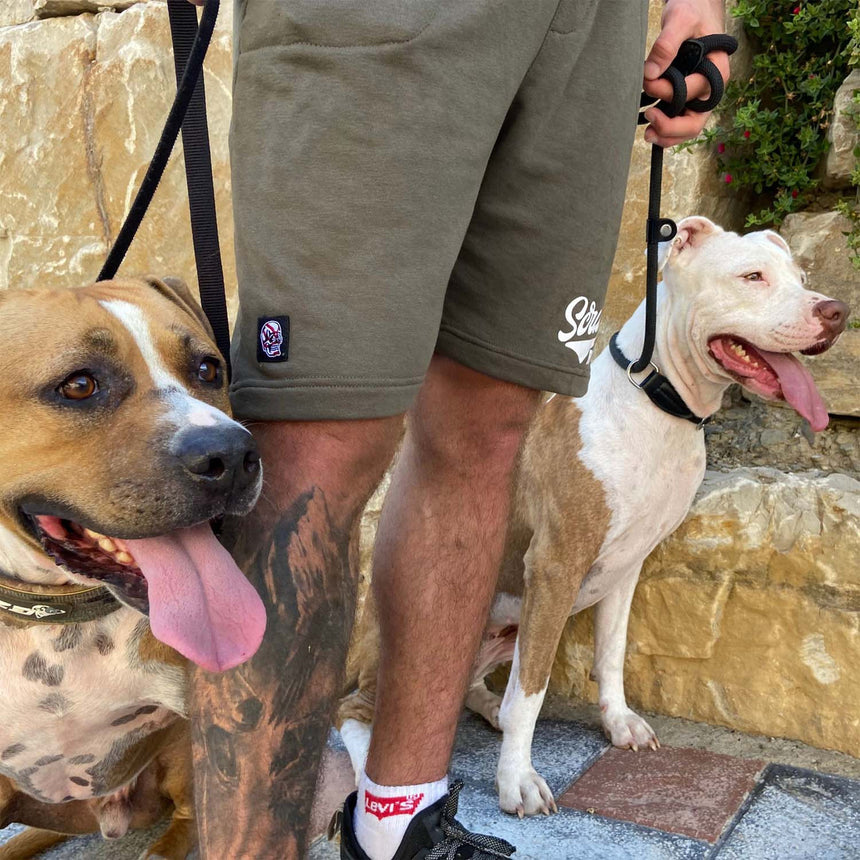 Scramble Kihon Casual Shorts Green