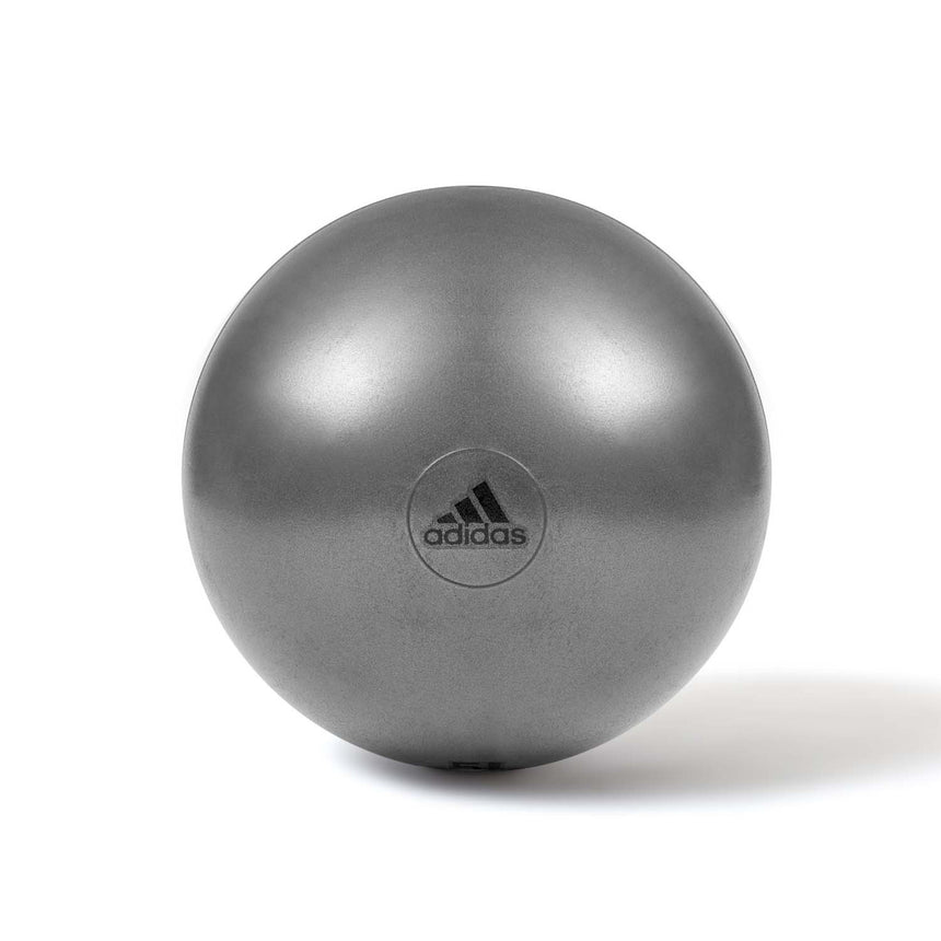 Adidas 55cm Gymball Grey