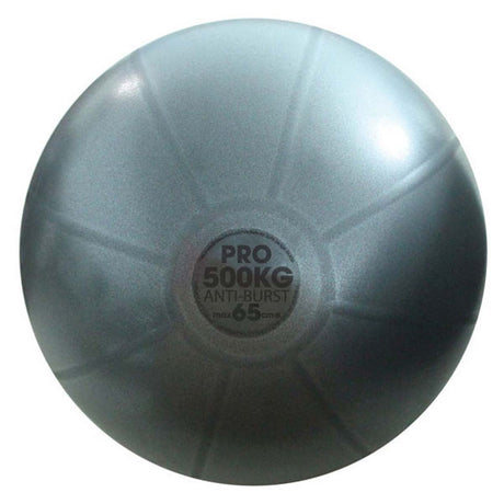 Fitness Mad 65cm Pro Swiss Ball Grey