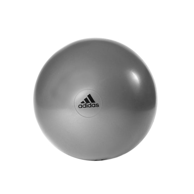 Adidas Gym Ball