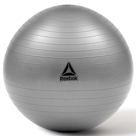 Reebok 65cm Gym Ball
