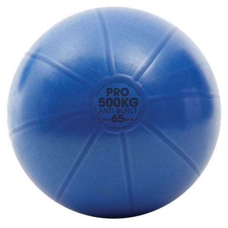 Fitness Mad 65cm Pro Swiss Ball Blue
